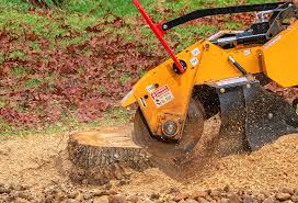 Best Grass Overseeding  in Jordan, NY